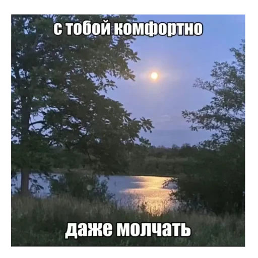 🌌 Стикер «цмх мой отчим» для Telegram