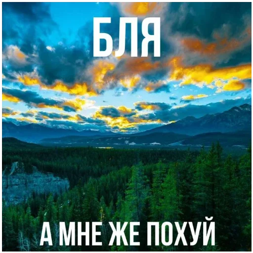 🍔 Стикер «цмх мой отчим» для Telegram