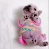 Стикер 6 Собачьки