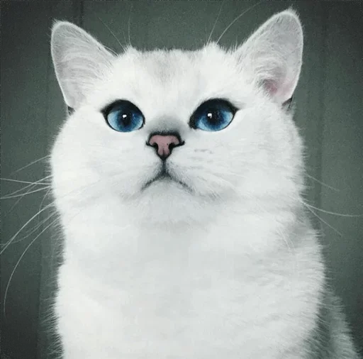 💙 Стикер «Co Cat» для Telegram