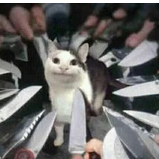 🫠 Стикер «Anime Аниме» для Telegram