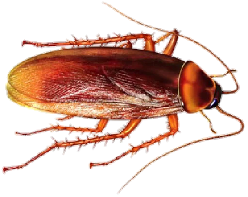 Стикерпак Cockroach для Telegram