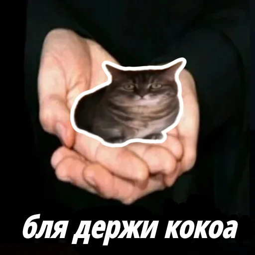 🦶 Стикер «кокоа» для Telegram