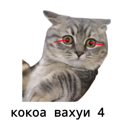 🍄 Стикер «кокоа» для Telegram