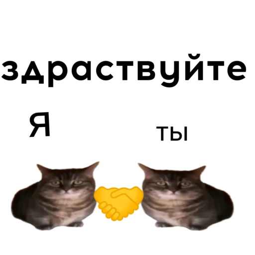 🤝 Стикер «кокоа» для Telegram