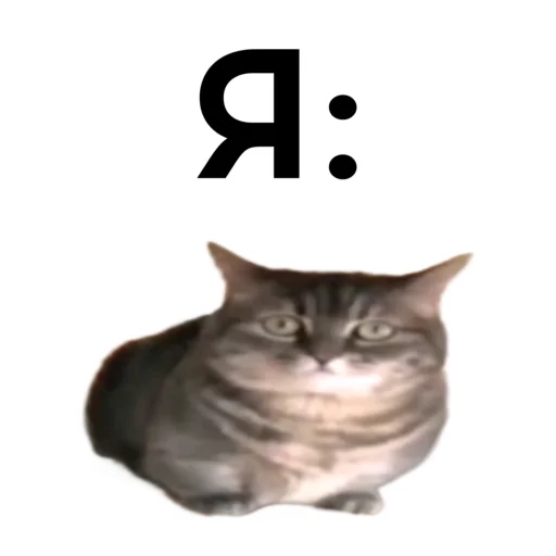 🥵 Стикер «кокоа» для Telegram