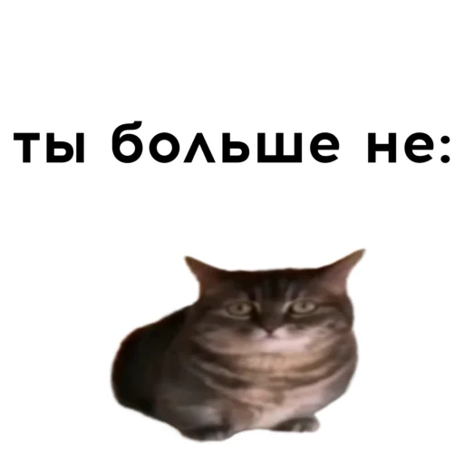 👎 Стикер «кокоа» для Telegram