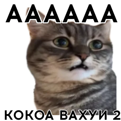 🤯 Стикер «кокоа» для Telegram