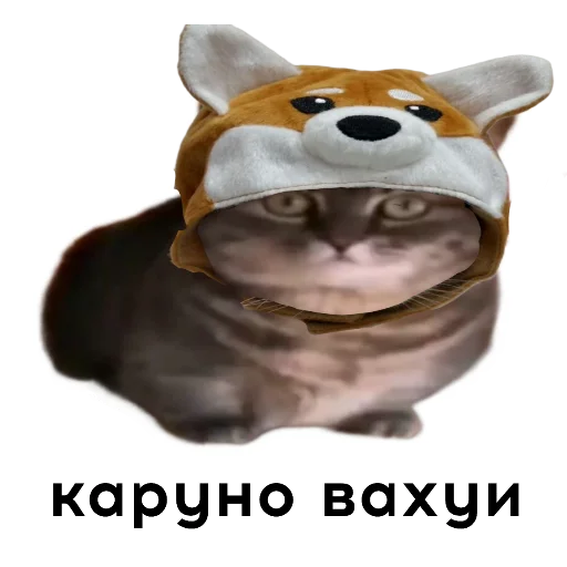 🧸 Стикер «кокоа» для Telegram