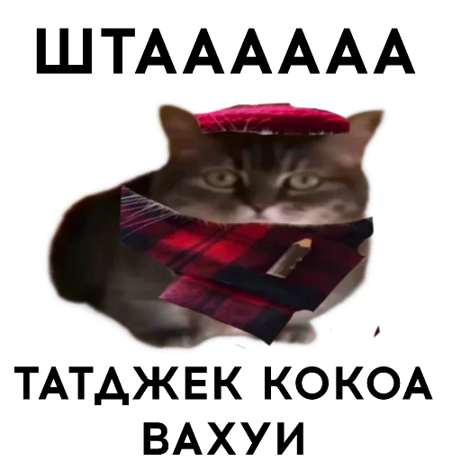 🥸 Стикер «кокоа» для Telegram