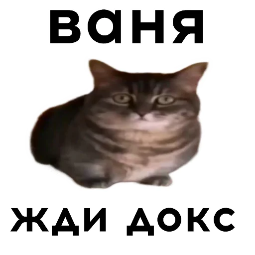 🫶 Стикер «кокоа» для Telegram