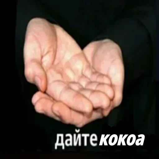 🤲 Стикер «кокоа» для Telegram