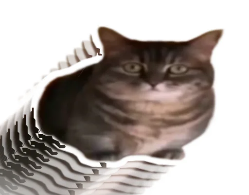 🐱 Стикер «кокоа» для Telegram