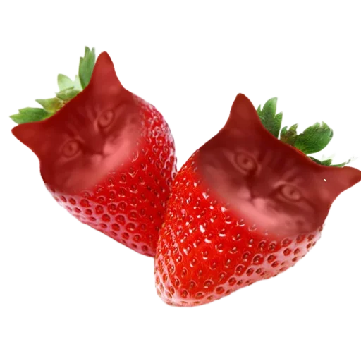 🍓 Стикер «кокоа» для Telegram
