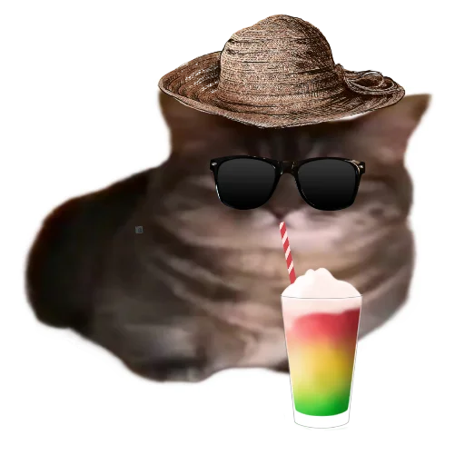 🏖 Стикер «кокоа» для Telegram