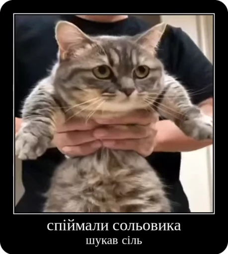 👮‍♀️ Стикер «Коконатик» для Telegram