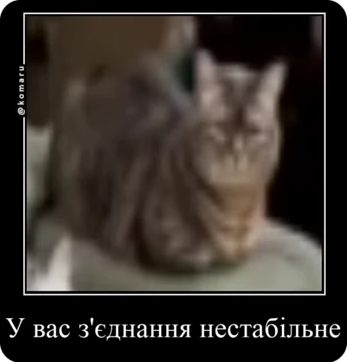 🛜 Стикер «Коконатик» для Telegram