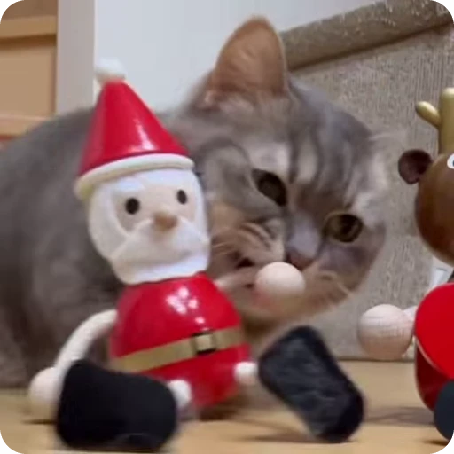 🎅 Стикер «Коконатик» для Telegram