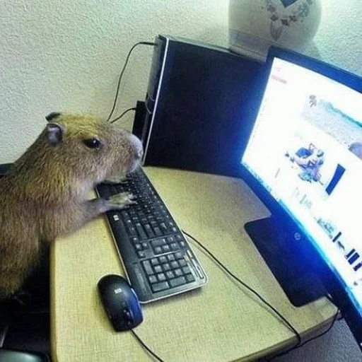 🖥️ Стикер «Capybara?» для Telegram