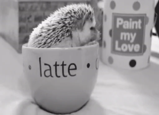 ☕ Стикер «Coffee» для Telegram