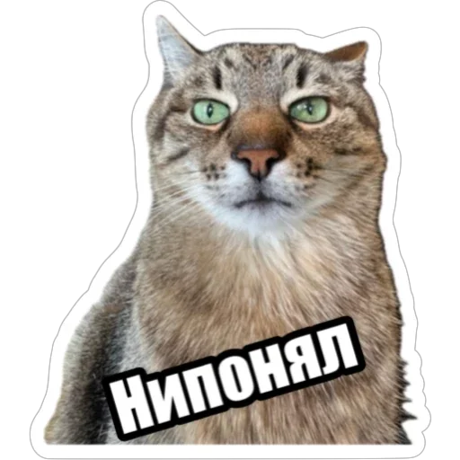 🫤 Стикер «Экстракт» для Telegram