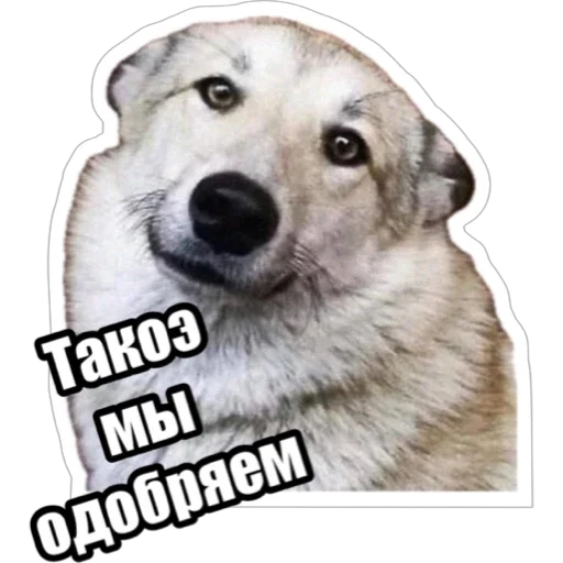 ☺️ Стикер «Экстракт» для Telegram