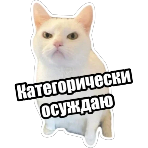 😠 Стикер «Экстракт» для Telegram
