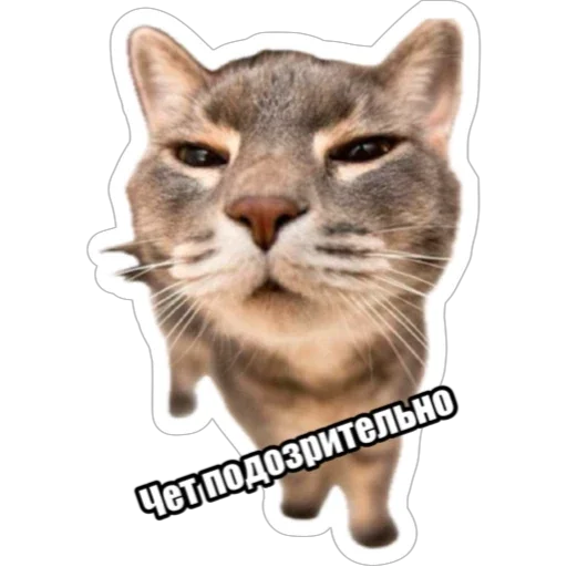 🤔 Стикер «Экстракт» для Telegram