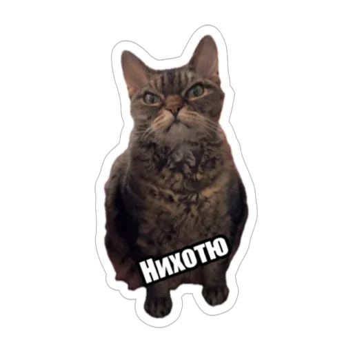 👎 Стикер «Экстракт» для Telegram