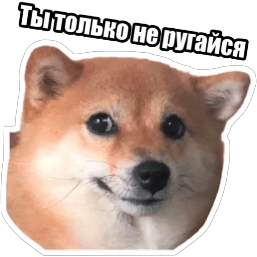 🫣 Стикер «Экстракт» для Telegram