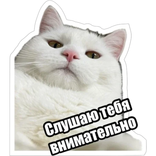 👂 Стикер «Экстракт» для Telegram