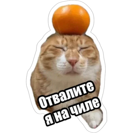 🧖‍♀️ Стикер «Экстракт» для Telegram