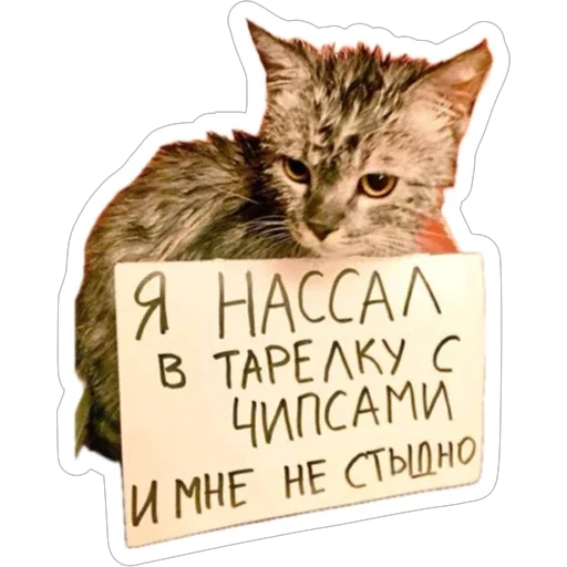 😝 Стикер «Экстракт» для Telegram