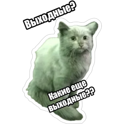🫨 Стикер «Экстракт» для Telegram