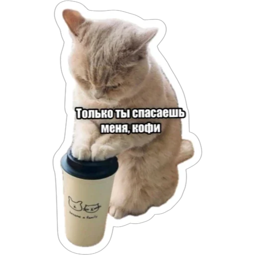 ☕️ Стикер «Экстракт» для Telegram