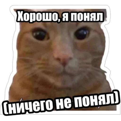 🫤 Стикер «Экстракт» для Telegram
