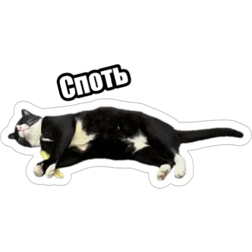 😴 Стикер «Экстракт» для Telegram