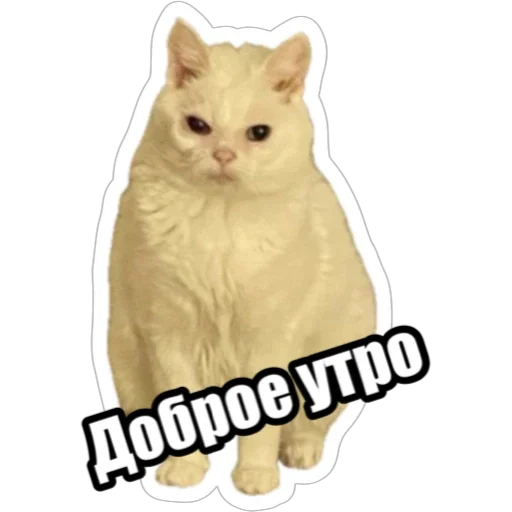 ☀️ Стикер «Экстракт» для Telegram