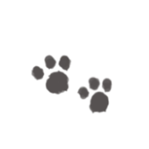 🐾 Стикер «Кис кис» для Telegram