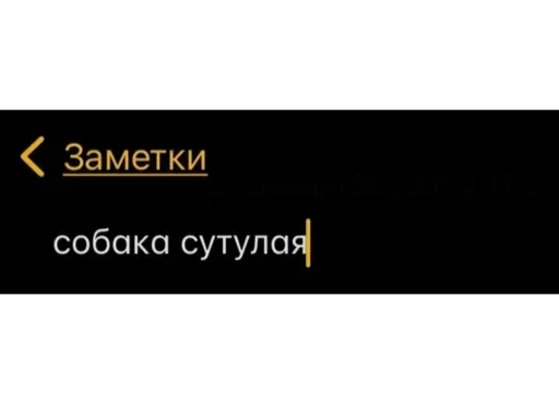 😡 Стикер «Мессаги» для Telegram