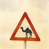 Стикер 53 Come To Uae