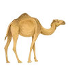 Стикер 5 Come To Uae
