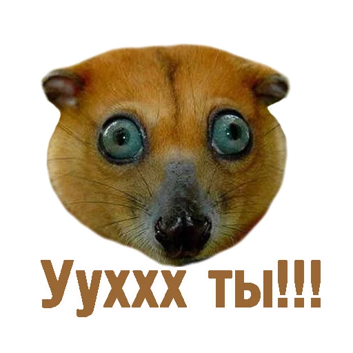 😳 Стикер «TCA» для Telegram