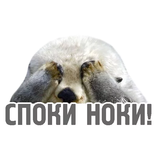 💤 Стикер «TCA» для Telegram
