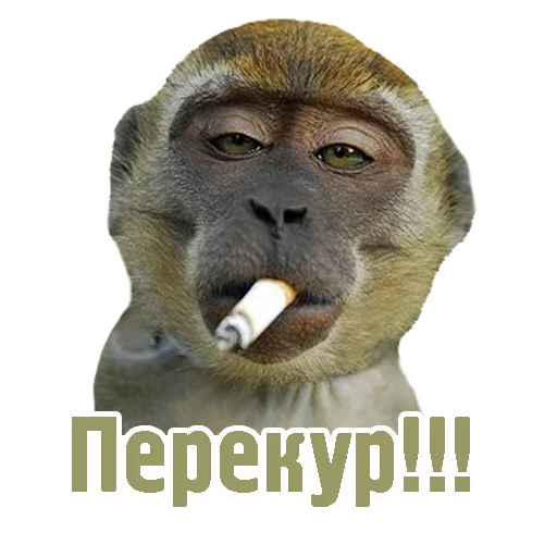 ☕ Стикер «TCA» для Telegram