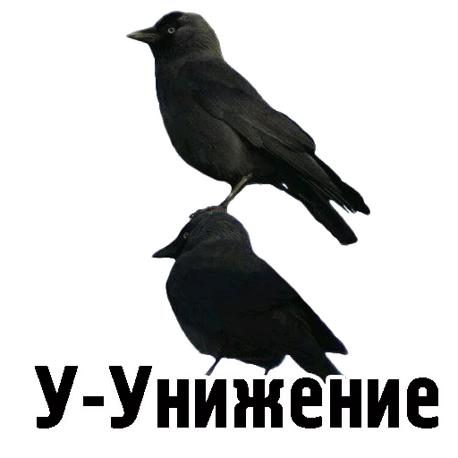 😩 Стикер «TCA» для Telegram