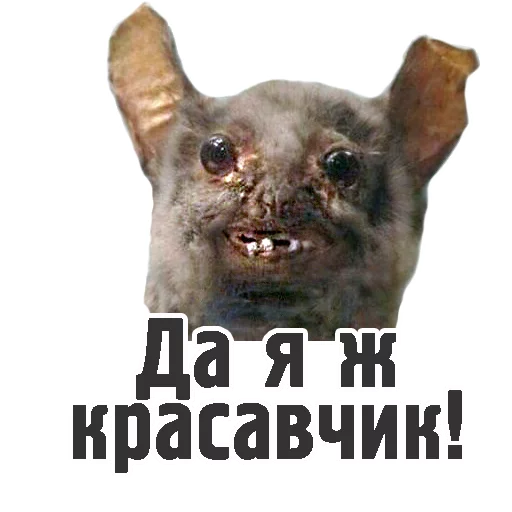 😃 Стикер «TCA» для Telegram
