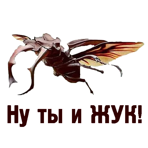🐞 Стикер «TCA» для Telegram