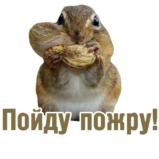 🍴 Стикер «TCA» для Telegram
