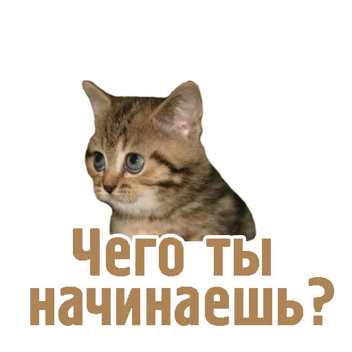 😔 Стикер «TCA» для Telegram